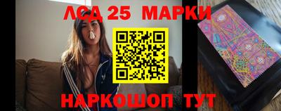 Альфа ПВП Моздок