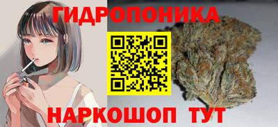 амф Можга