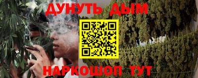 Альфа ПВП Моздок