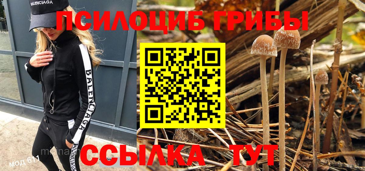 Похвистнево  Галлюциногенные грибы ЛСД  Вход с VPN 