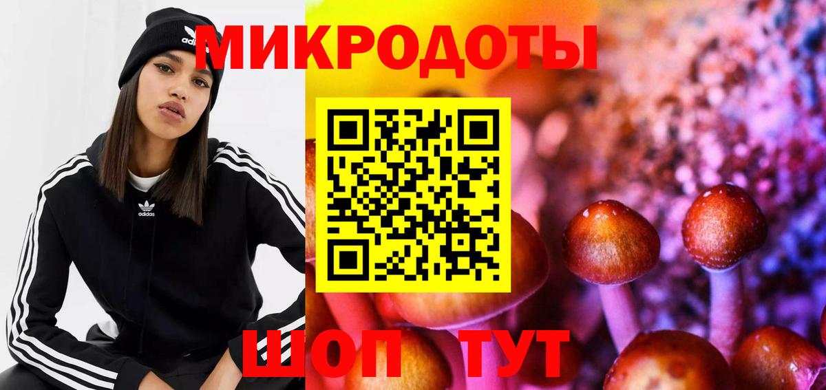 Псилоцибиновые грибы MAGIC MUSHROOMS Похвистнево